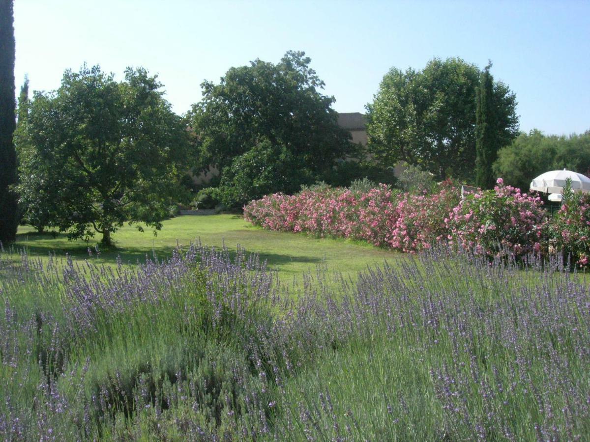 Le Clos Des Freres Gris Bed and Breakfast Αιξ-αν-Προβάνς Εξωτερικό φωτογραφία
